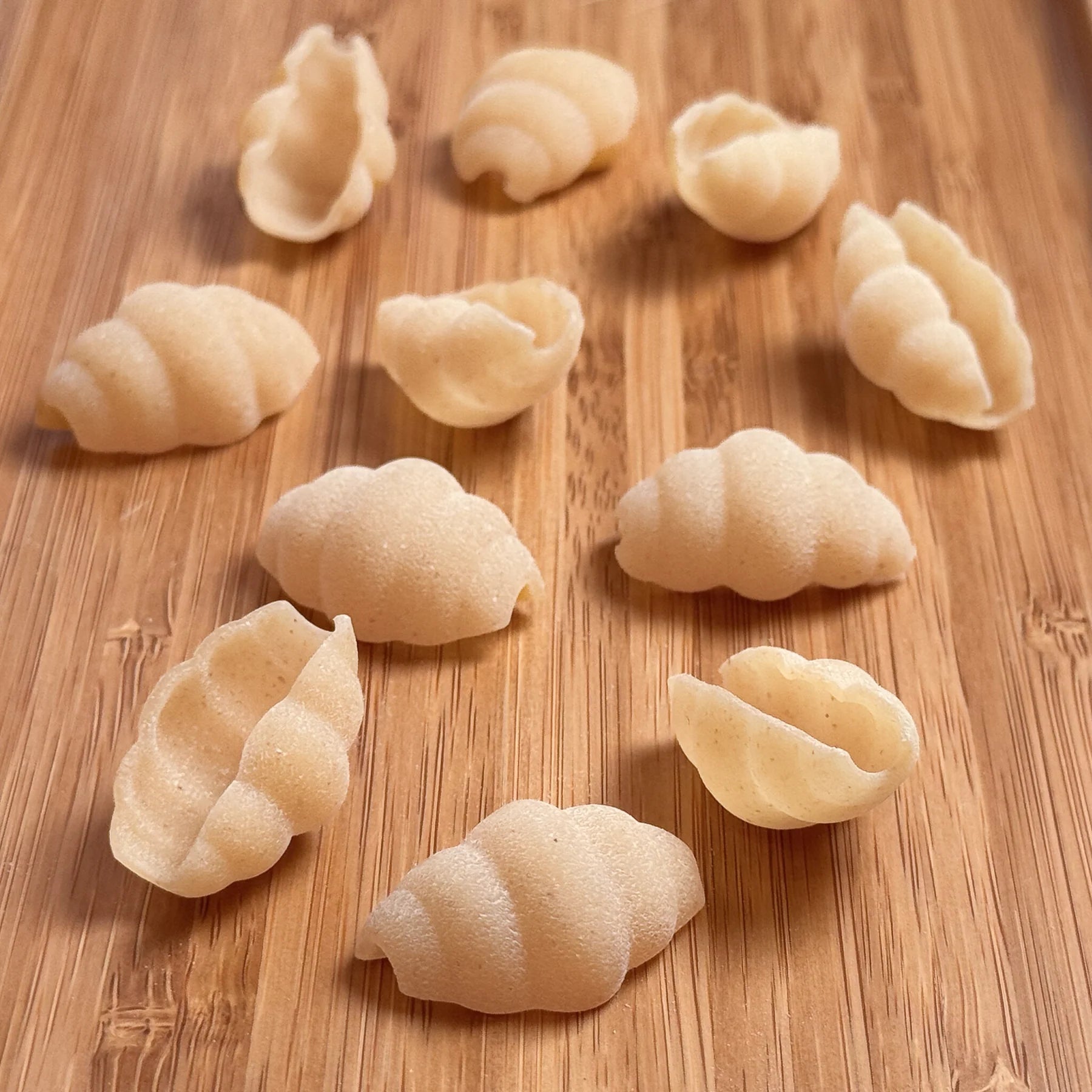 Etto Pasta - CONCHIGLIE