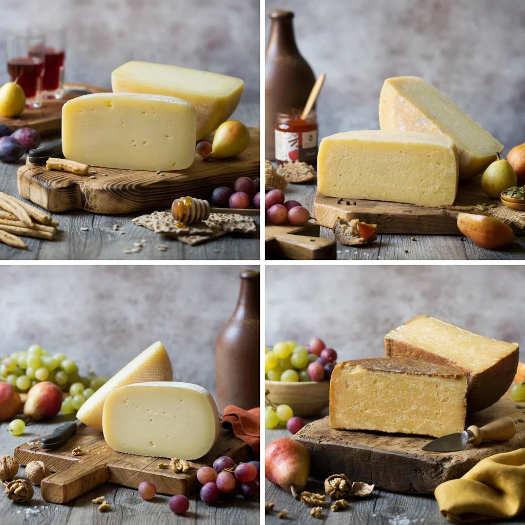 Emilia Food Love - Pecorino Tasting (4 packs)